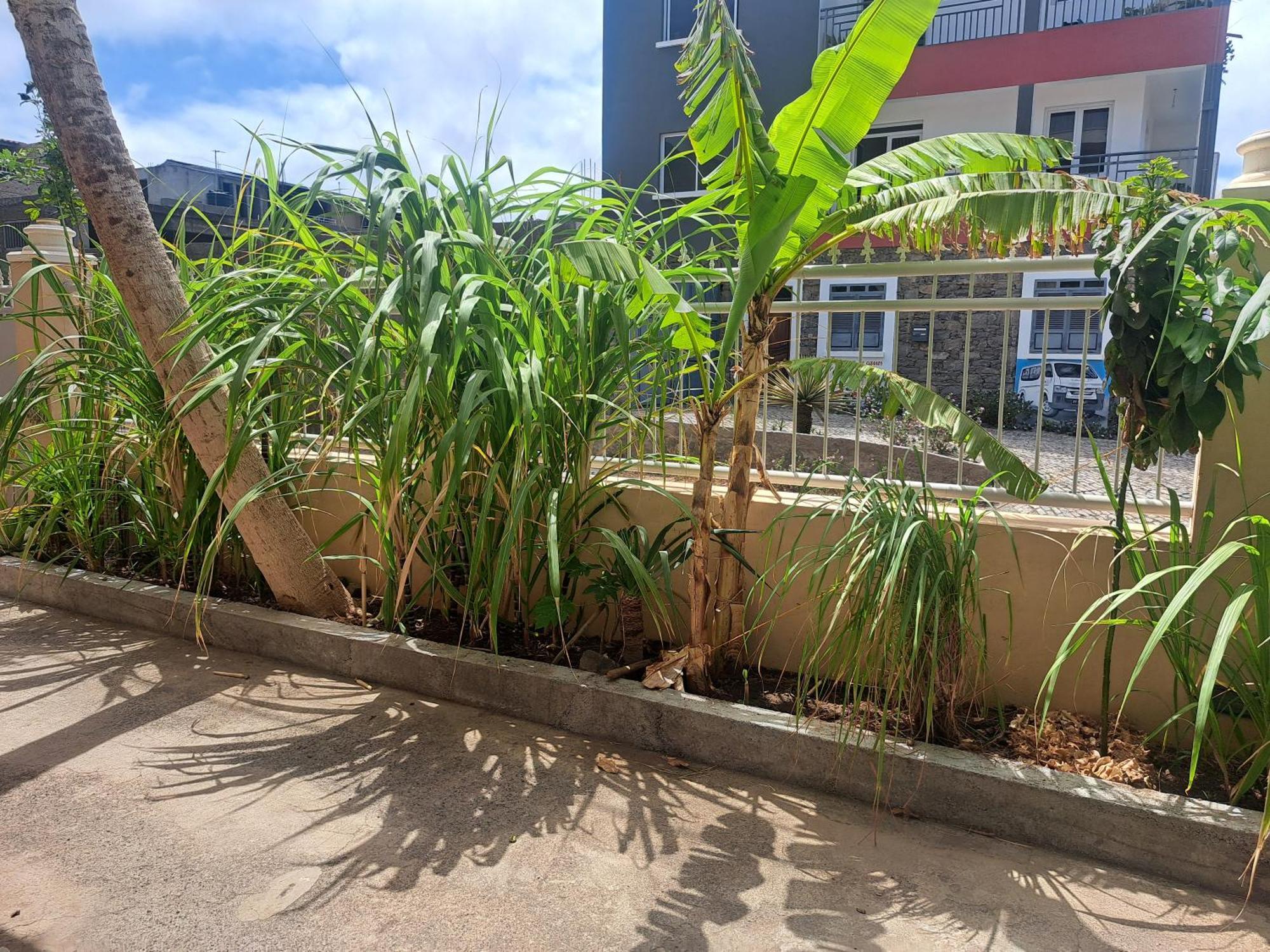 Barros Homestay Тарафал Екстериор снимка